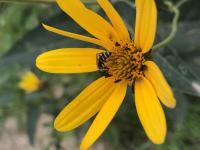 View photo in a new window