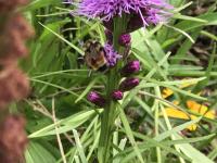 View photo in a new window