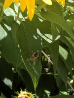 View photo in a new window