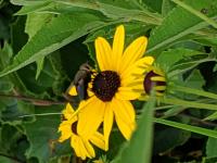 View photo in a new window