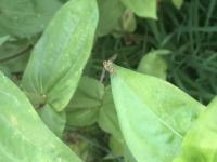 View photo in a new window