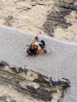 View photo in a new window