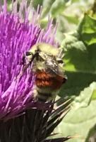 View photo in a new window