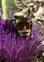 View photo in a new window