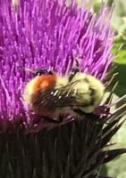 View photo in a new window