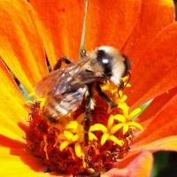 View photo in a new window