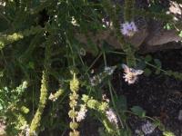 View photo in a new window