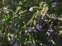 View photo in a new window