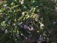 View photo in a new window