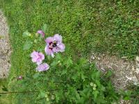 View photo in a new window