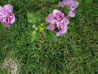 View photo in a new window