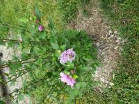 View photo in a new window