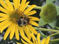 View photo in a new window