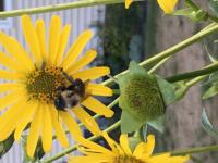 View photo in a new window