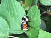 View photo in a new window