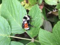 View photo in a new window