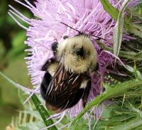 View photo in a new window