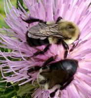 View photo in a new window