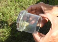 View photo in a new window