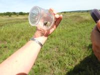 View photo in a new window