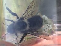 View photo in a new window