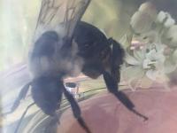 View photo in a new window