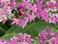 View photo in a new window