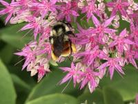 View photo in a new window