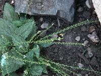 View photo in a new window