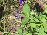 View photo in a new window