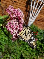 View photo in a new window