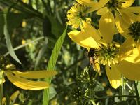 View photo in a new window