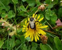 View photo in a new window