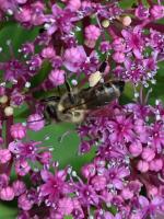 View photo in a new window