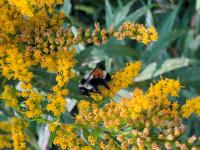 View photo in a new window