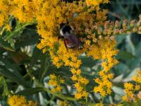 View photo in a new window