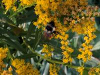 View photo in a new window