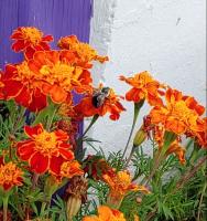 View photo in a new window