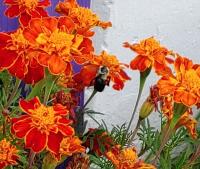 View photo in a new window