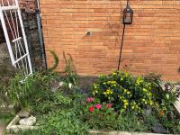 View photo in a new window