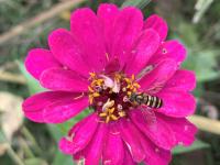 View photo in a new window