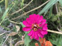 View photo in a new window