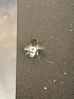 View photo in a new window