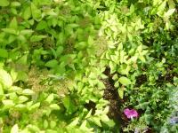 View photo in a new window