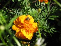 View photo in a new window