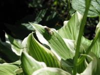 View photo in a new window