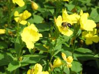 View photo in a new window