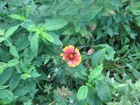 View photo in a new window