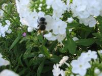 View photo in a new window