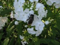 View photo in a new window